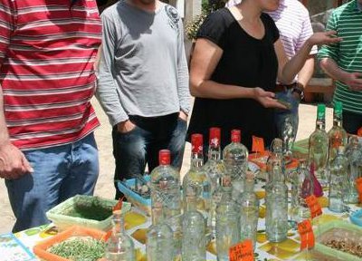 Vermut Workshop
